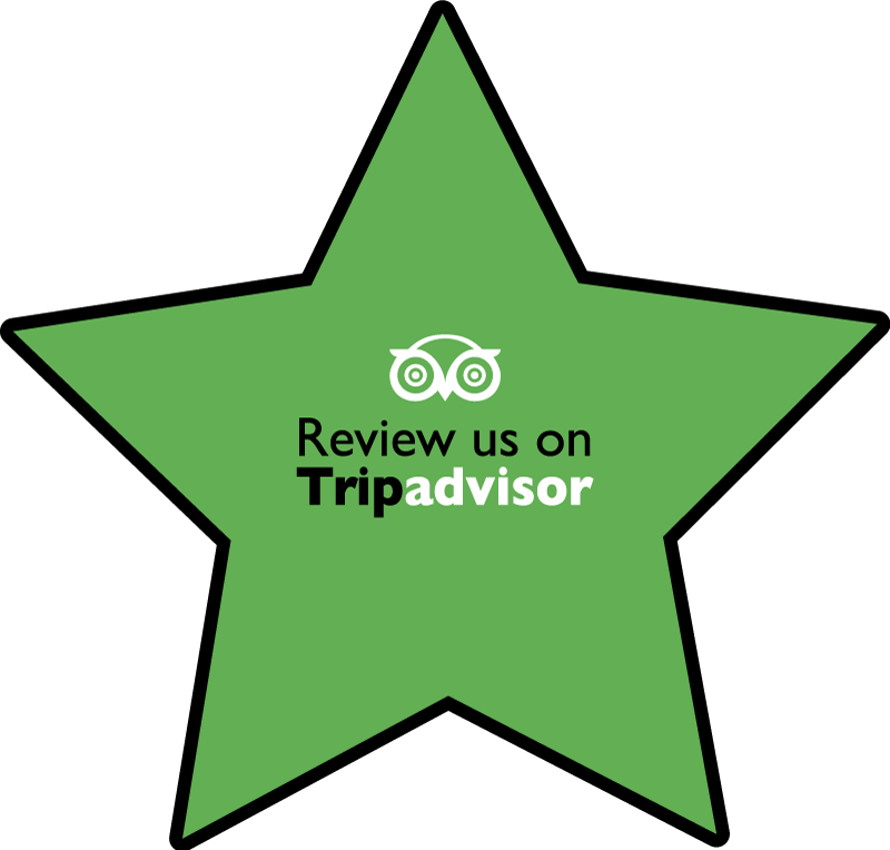 Review us on Tripadvisor quote rug - TenStickers