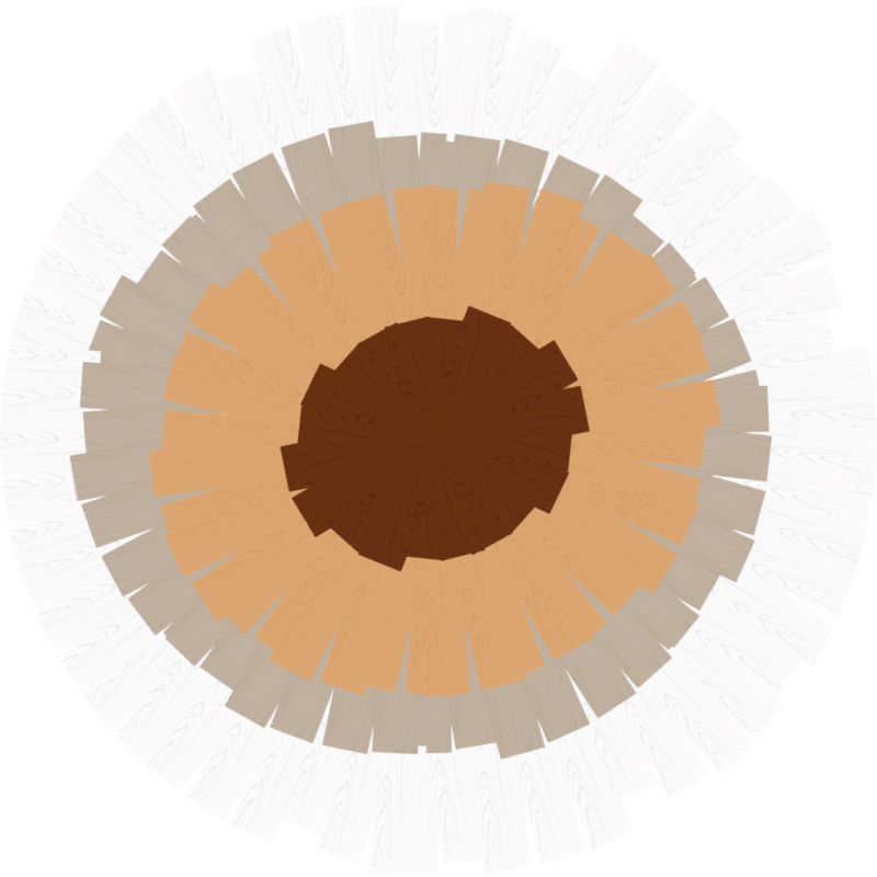 Circular trunk design wood effect rug - TenStickers