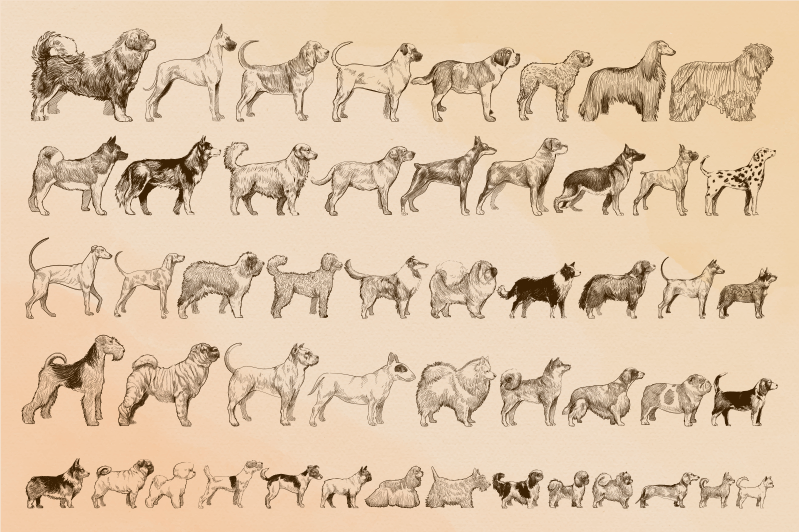 Beige dog illustrations animal mat - TenStickers