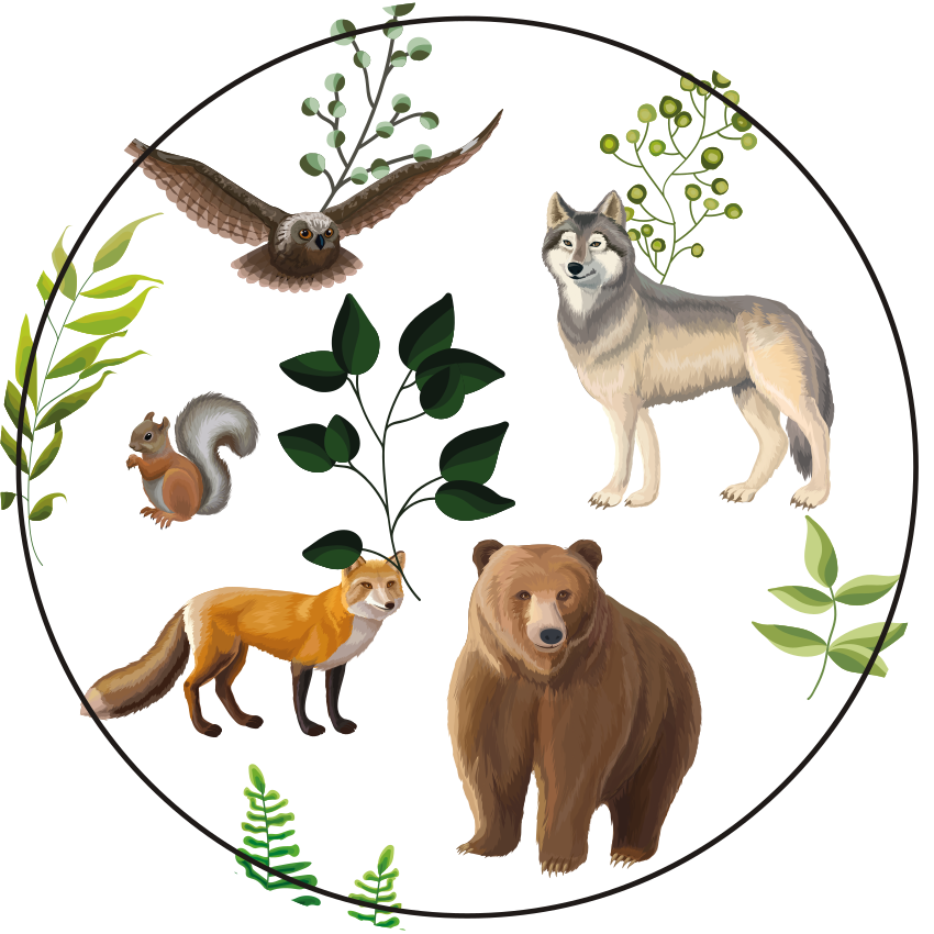Friendly forest creatures kids rug - TenStickers