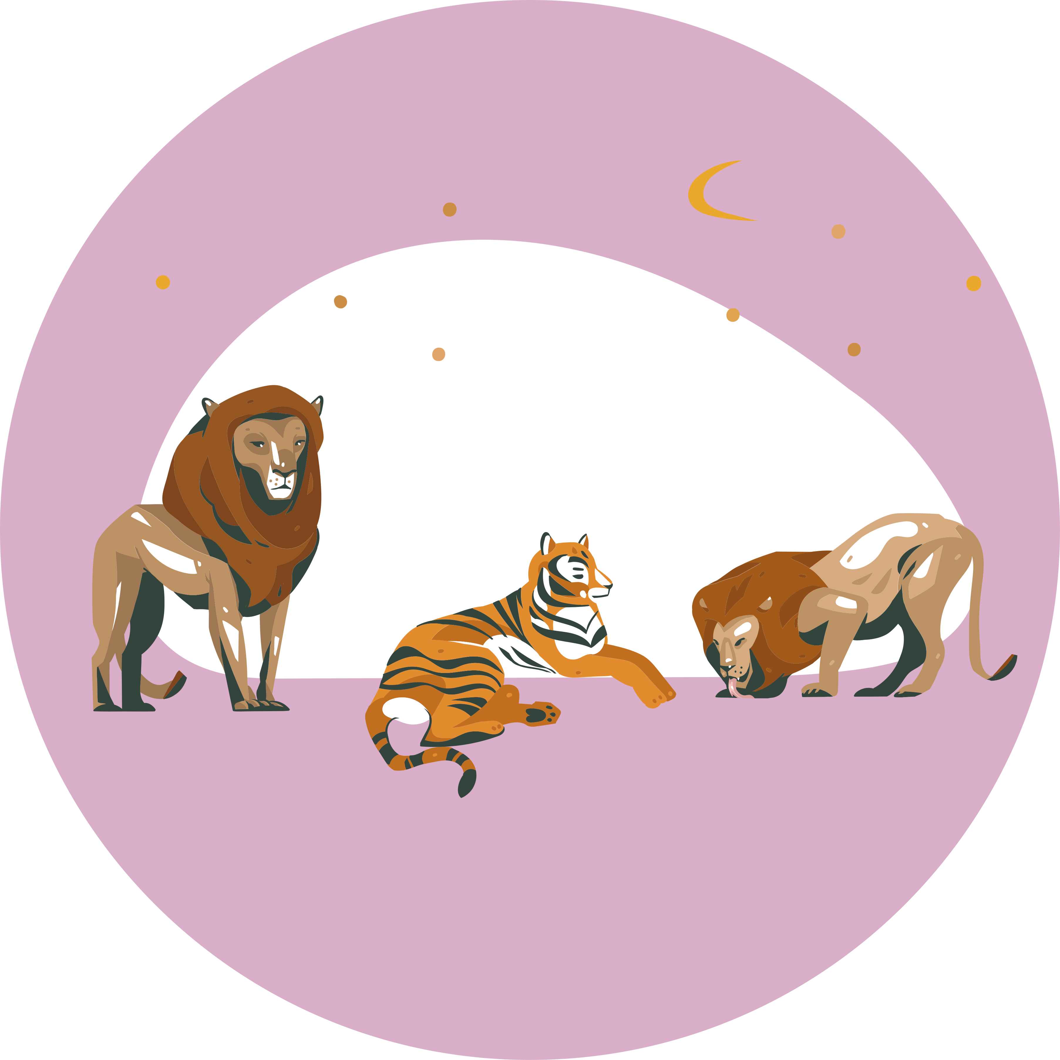 Safari wild animals animal mat - TenStickers