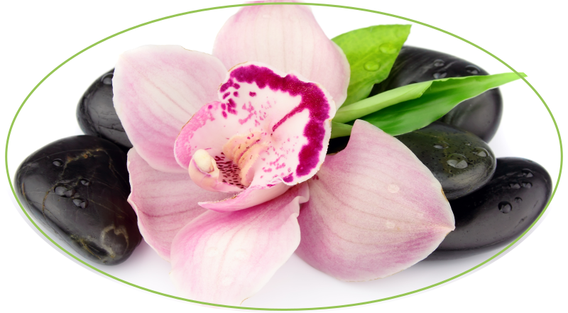 Elegant Orchid Arrangement floral rug - TenStickers