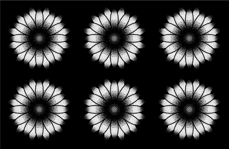 Black and white inspiration floral rug - TenStickers