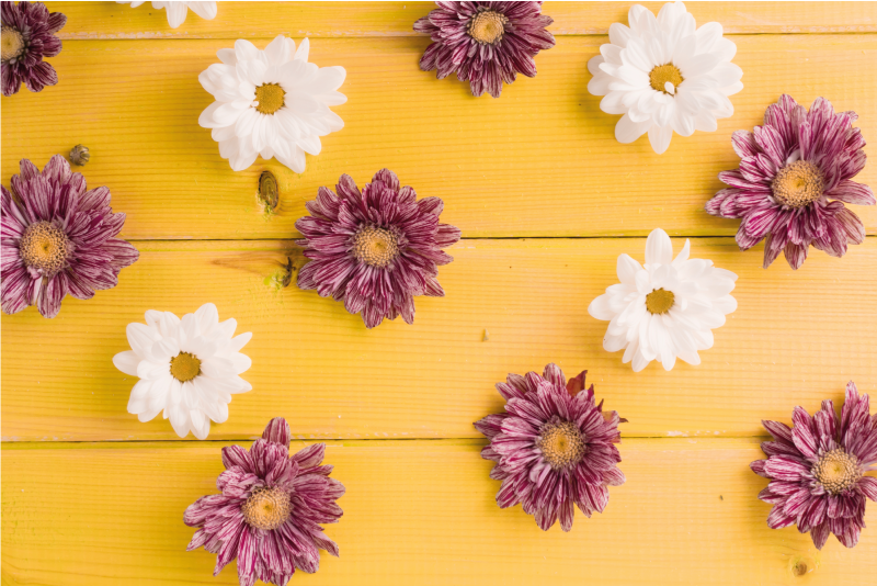 Pink and white petals floral rug - TenStickers