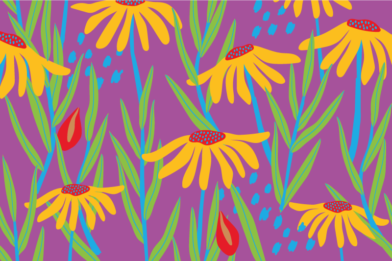 Colorful daisy flowers silouhette floral rug - TenStickers