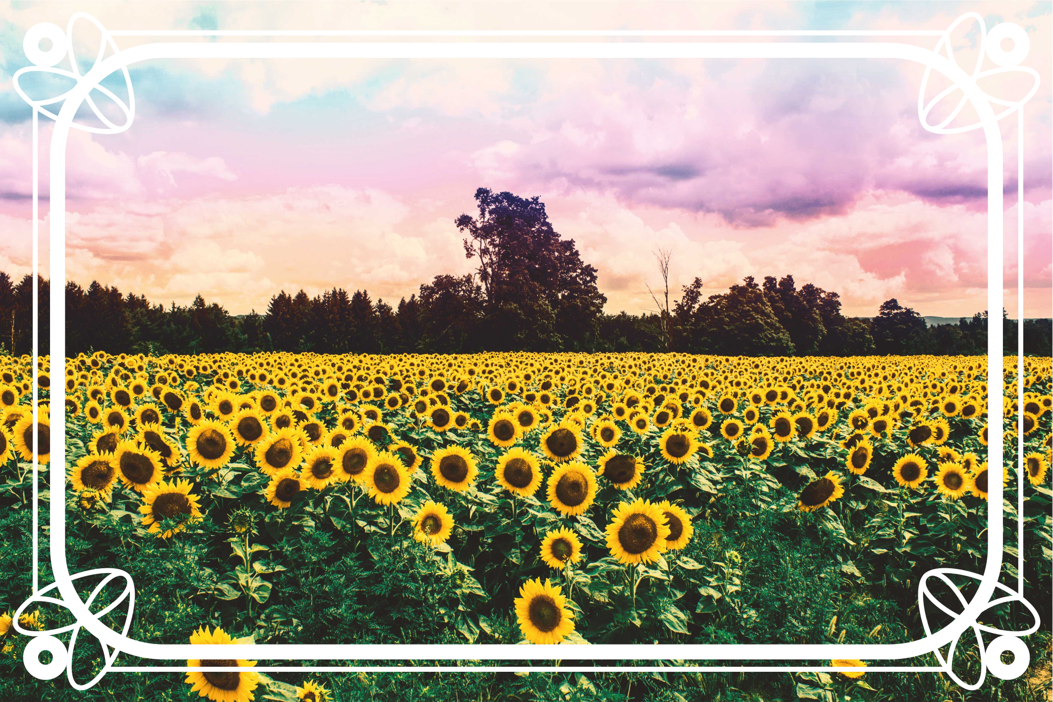 Sunflower field colourful sky floral rug - TenStickers