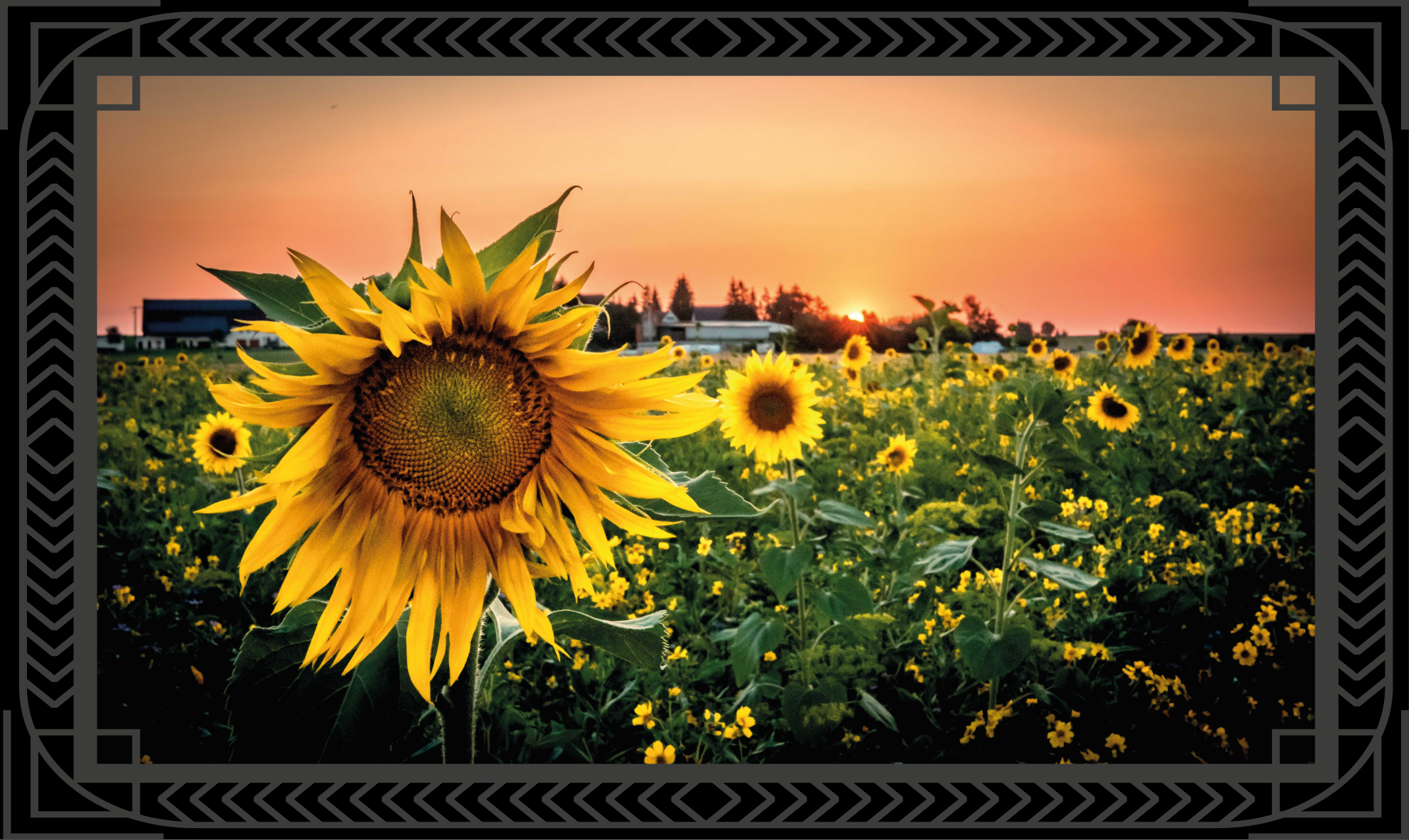Sunflower sunset floral rug - TenStickers