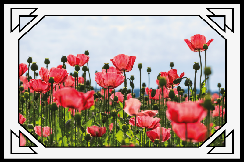 Colorful poppy field floral rug - TenStickers