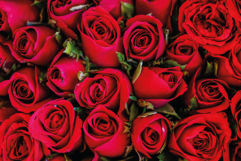 Floral rug in a bouquet of roses - TenStickers