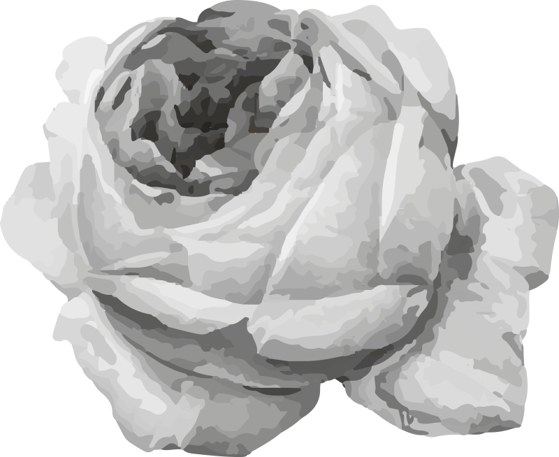 Floral rug rose blossom design - TenStickers