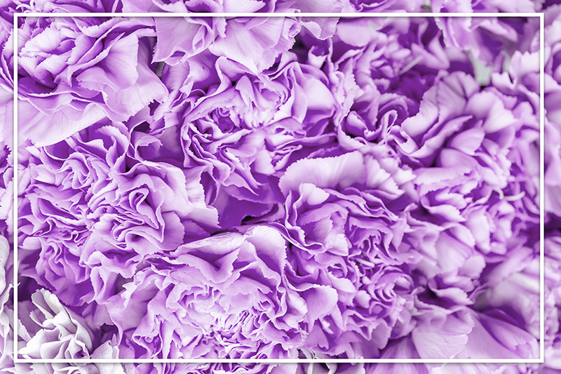 Vibrant Purple Blooms floral rug - TenStickers