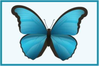 Blue butterfly animal mat - TenStickers