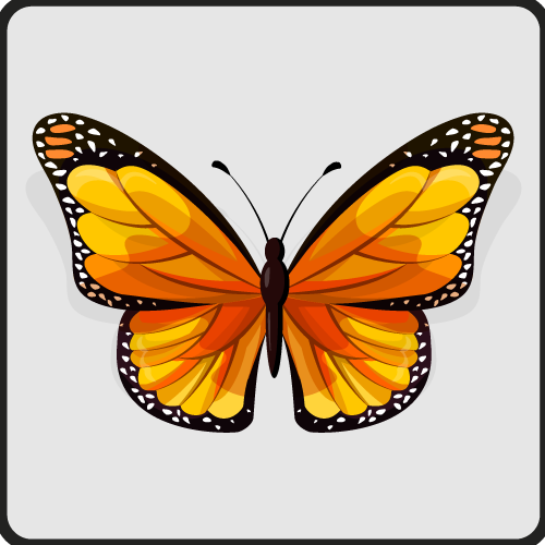 Yellow and orange butterfly square vinyl rug - TenStickers