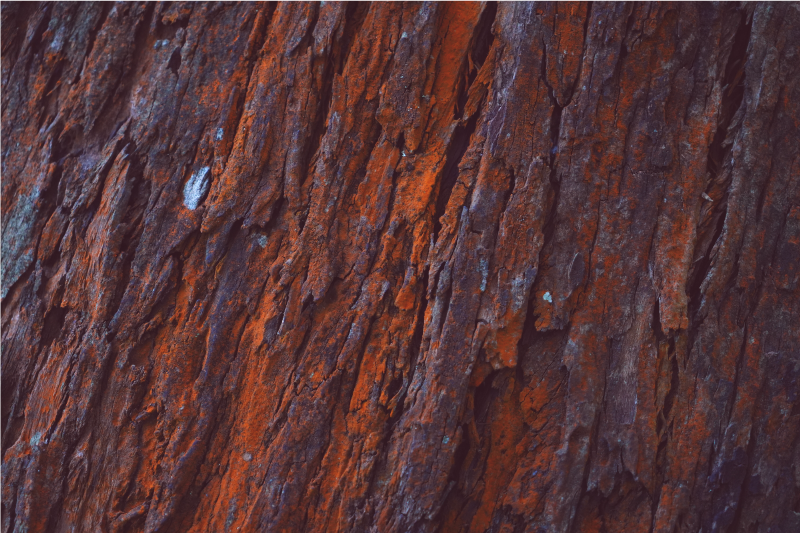 Rustic bark wood effect rug - TenStickers