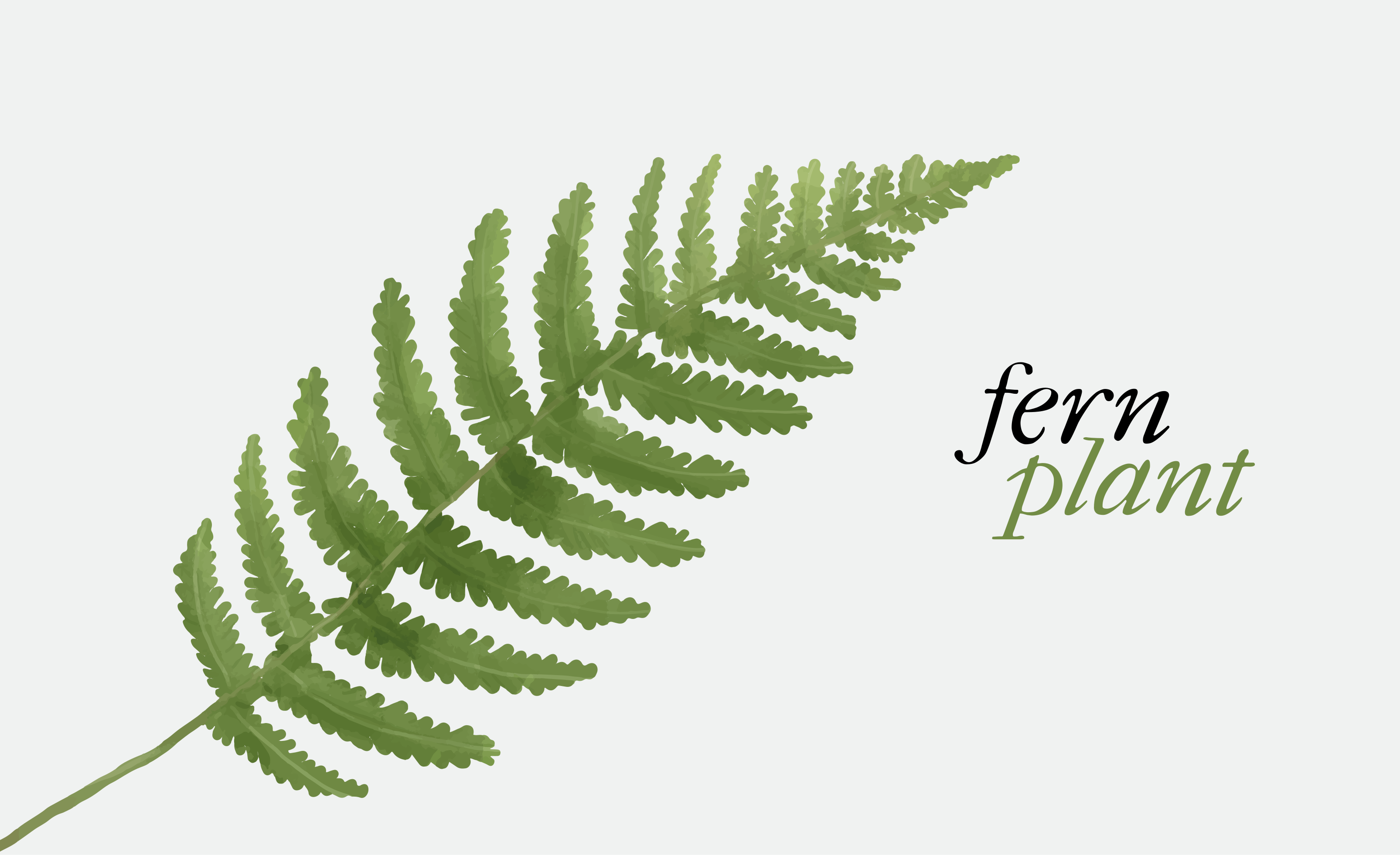 Fern plant design floral rug - TenStickers
