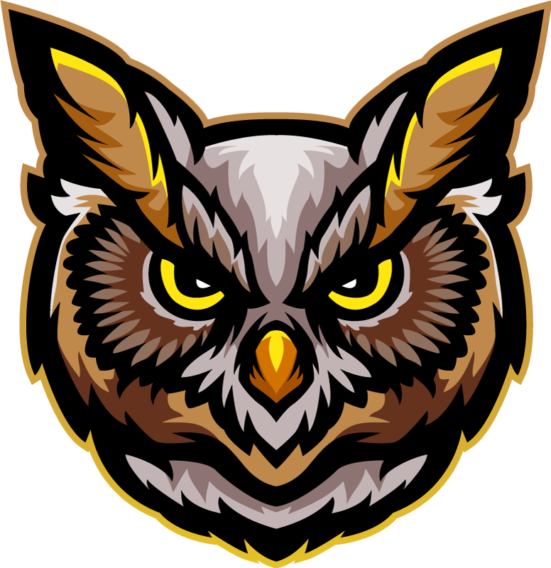 Animal mat owl face design - TenStickers