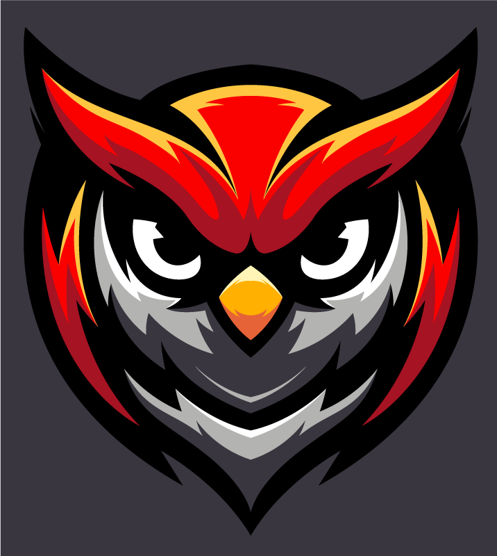 Owl Graphic Bold teenage bedroom rug - TenStickers