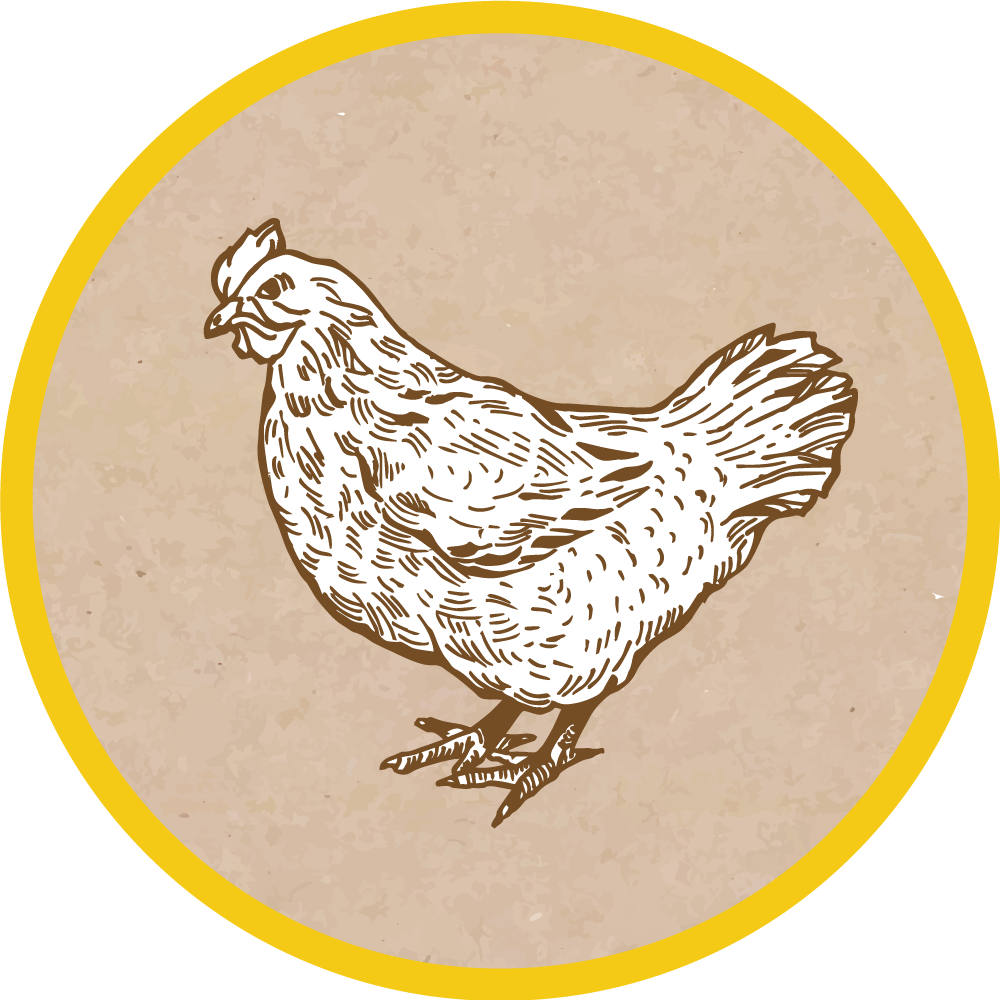 CHICKEN ILLUSTRATION animal mat - TenStickers