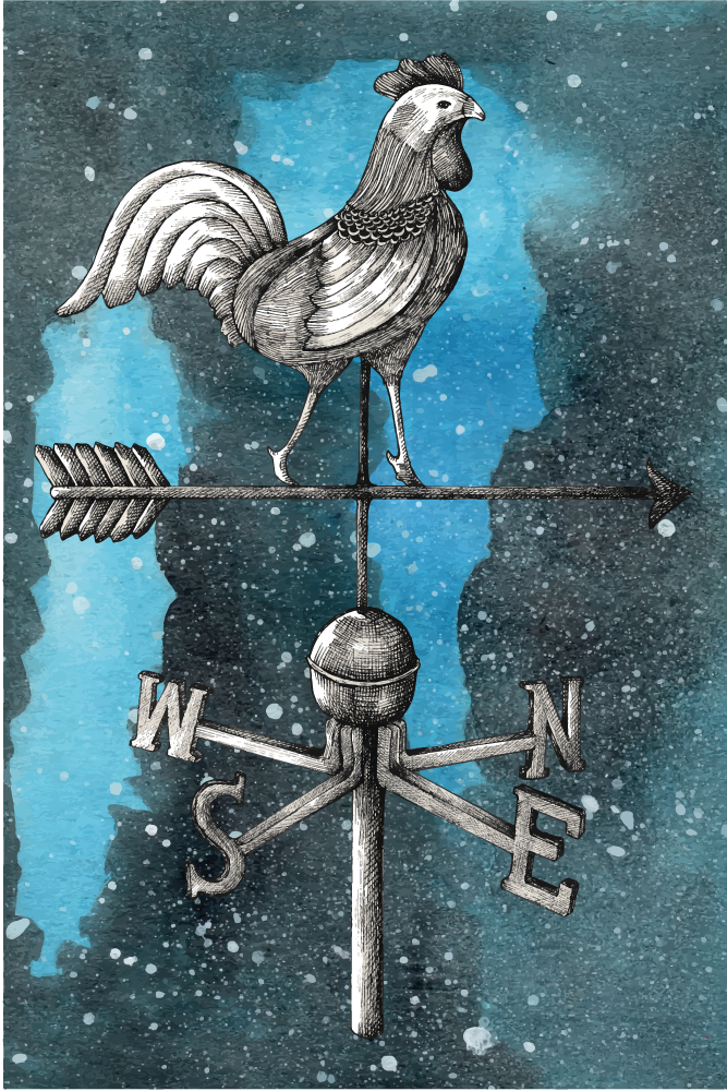 Weather Vane Rooster teenage bedroom rug - TenStickers