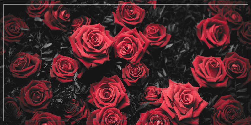 Realistic red roses design floral rug - TenStickers