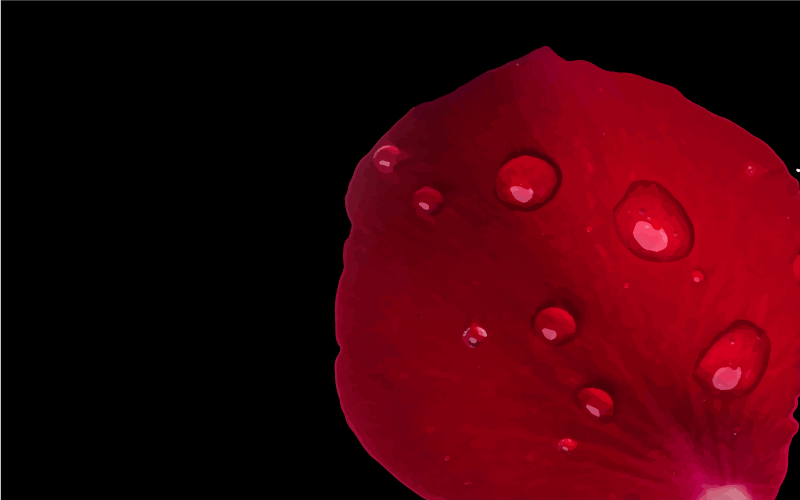 Red Petal Glamour living room rug - TenStickers