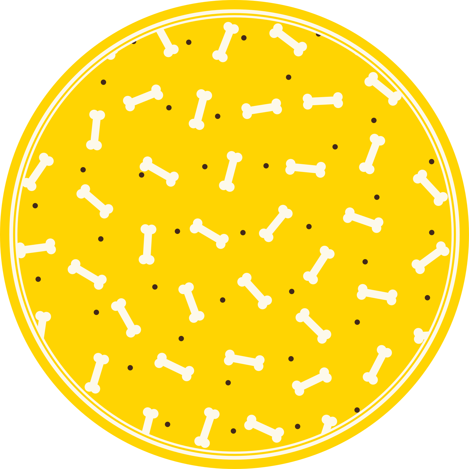 Yellow Bone Pattern animal mat - TenStickers