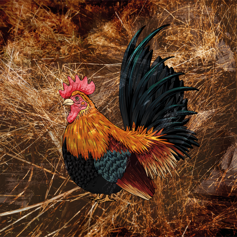 Animal print rug with colorful rooster design - TenStickers