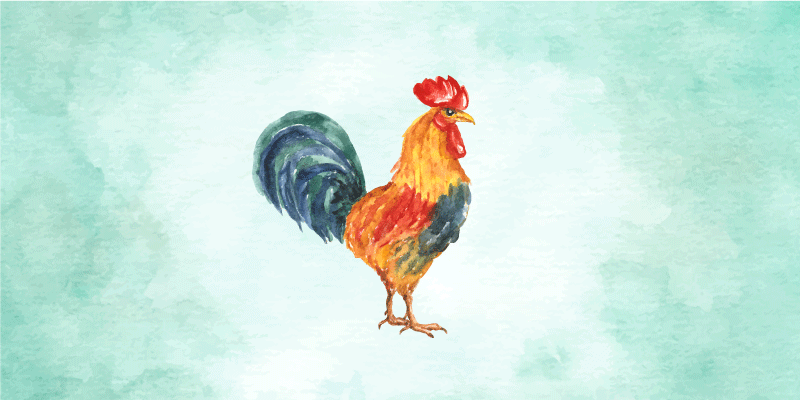 Aquarella rooster artwork animal mat - TenStickers