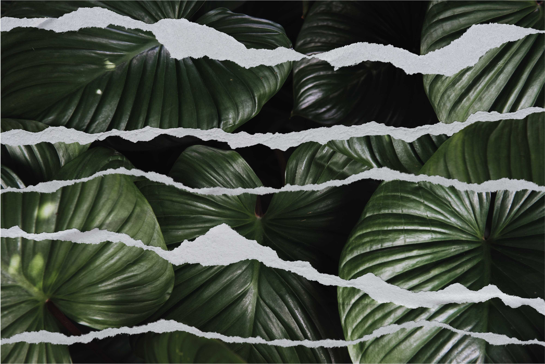 Torn Leaf Pattern nature rug - TenStickers