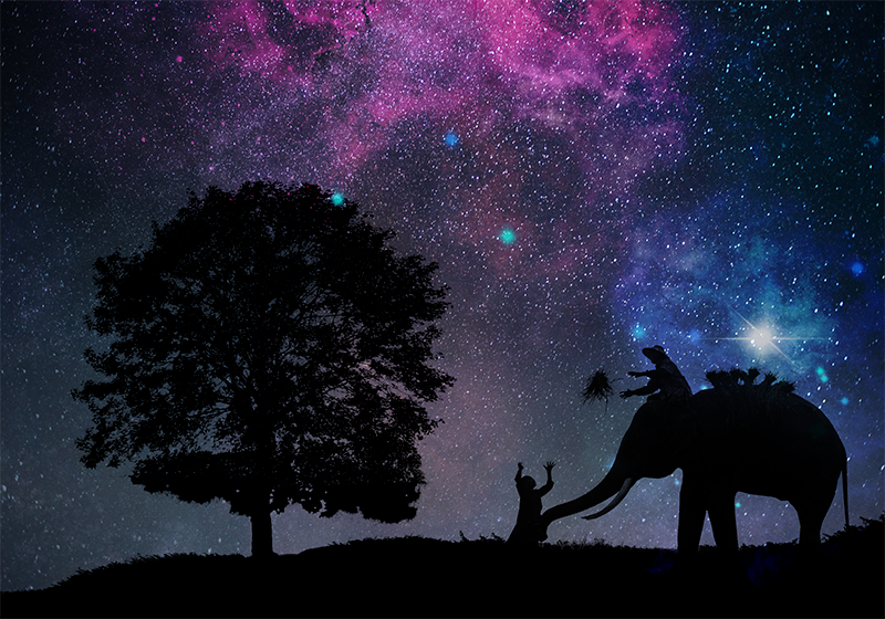 Cosmic elephant adventure animal mat - TenStickers