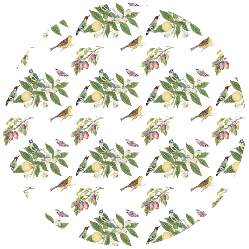 Colorful Bird Patterns circular rug - TenStickers