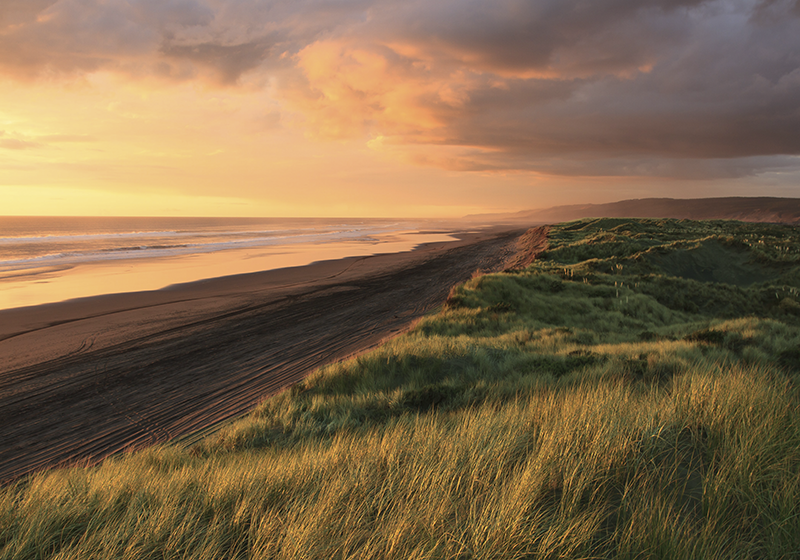 Sunset Beachscape nature rug - TenStickers