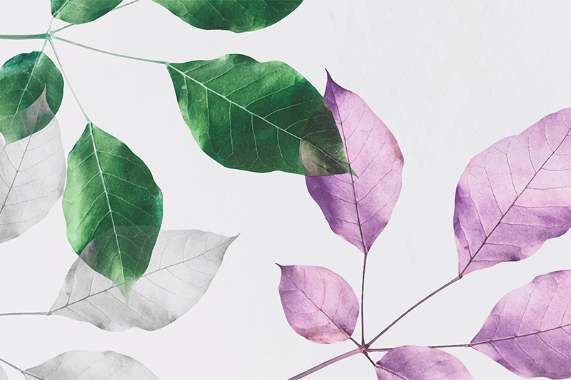 Leafy Botanical Prints floral rug - TenStickers