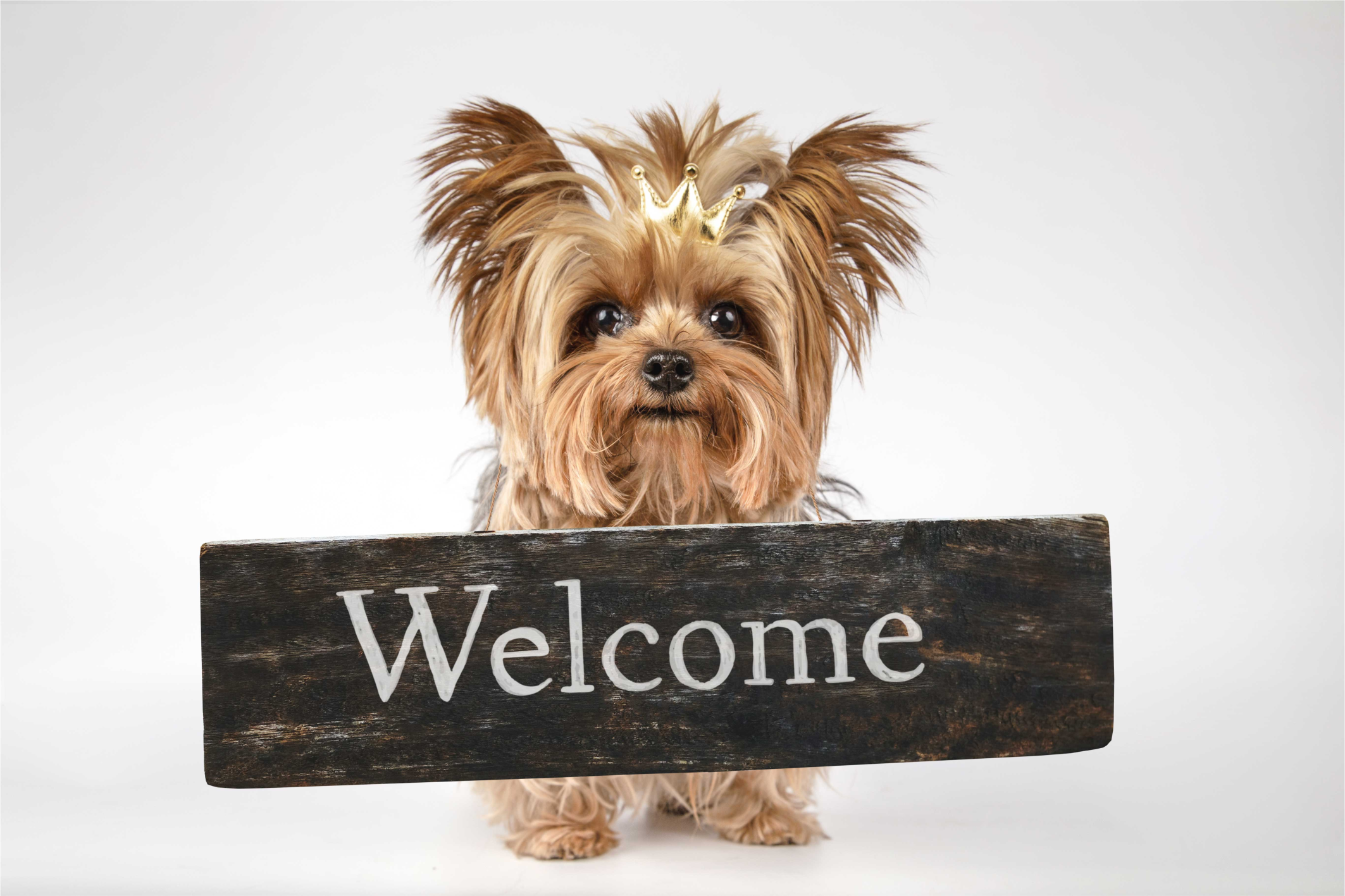 Furry Welcome Sign quote rug - TenStickers