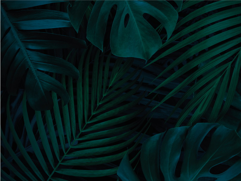 Tropical Foliage floral rug - TenStickers