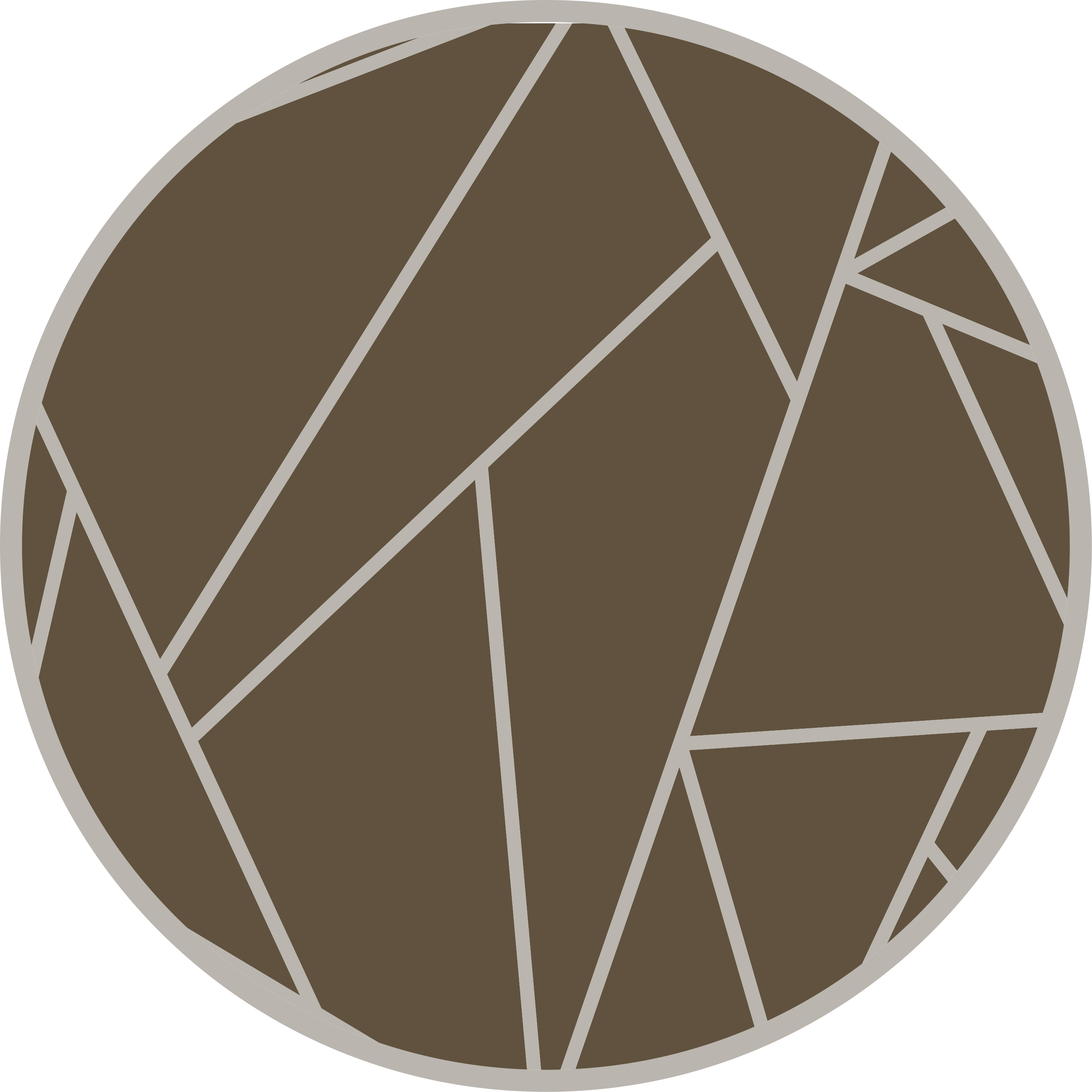 Geometric Pattern Circle brown rug - TenStickers