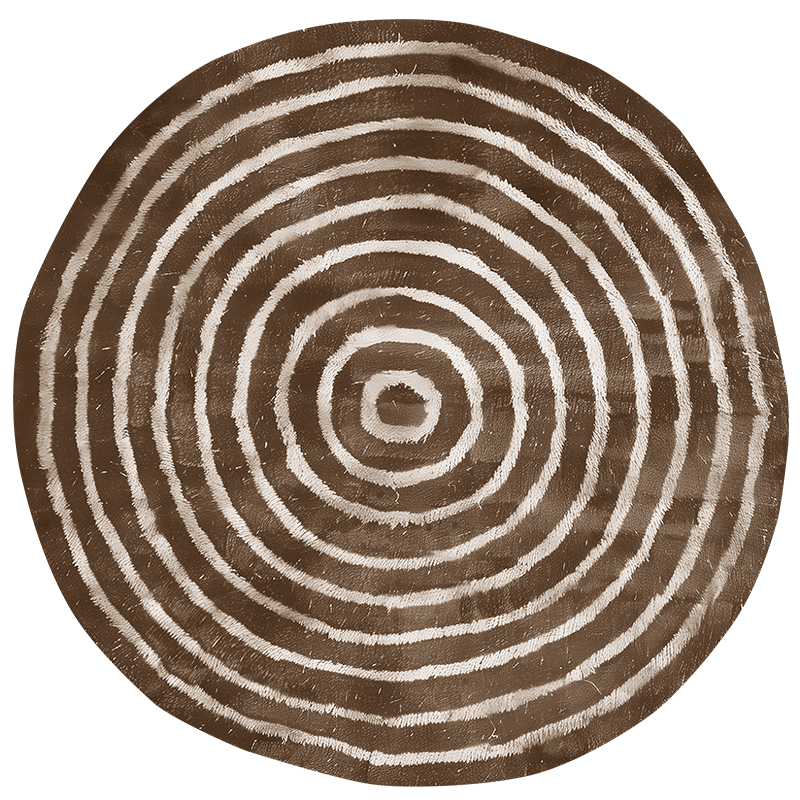 concentric circles beige rug - TenStickers