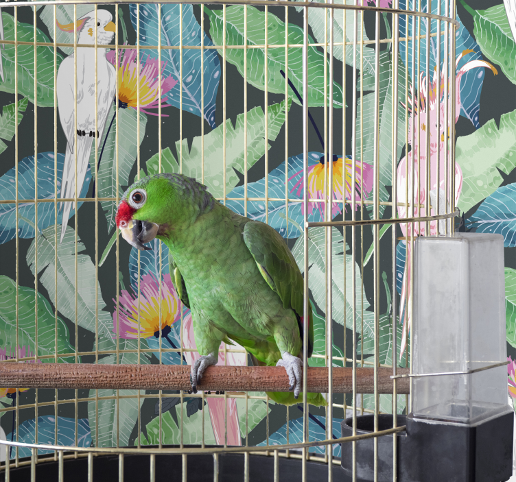 Tropical birds and leaves wallpaper - TenStickers