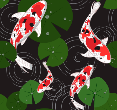Koi Pond Scenery fish wallpaper - TenStickers