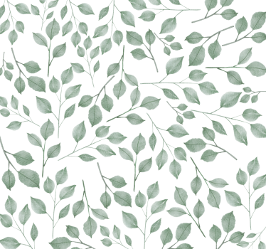 Olive branches leaves wallpaper - TenStickers